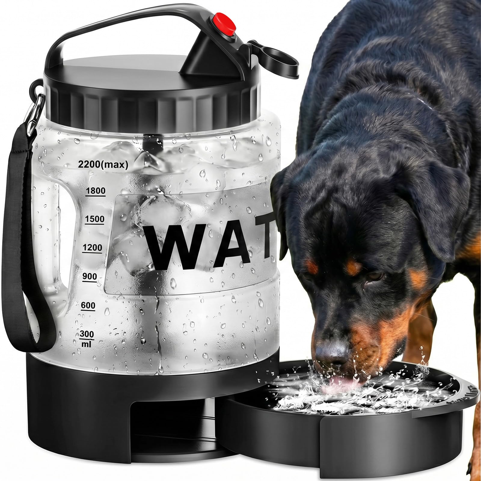 Pet Supplies : 77oz Portable Dog Water Bottle, Camping Essentials